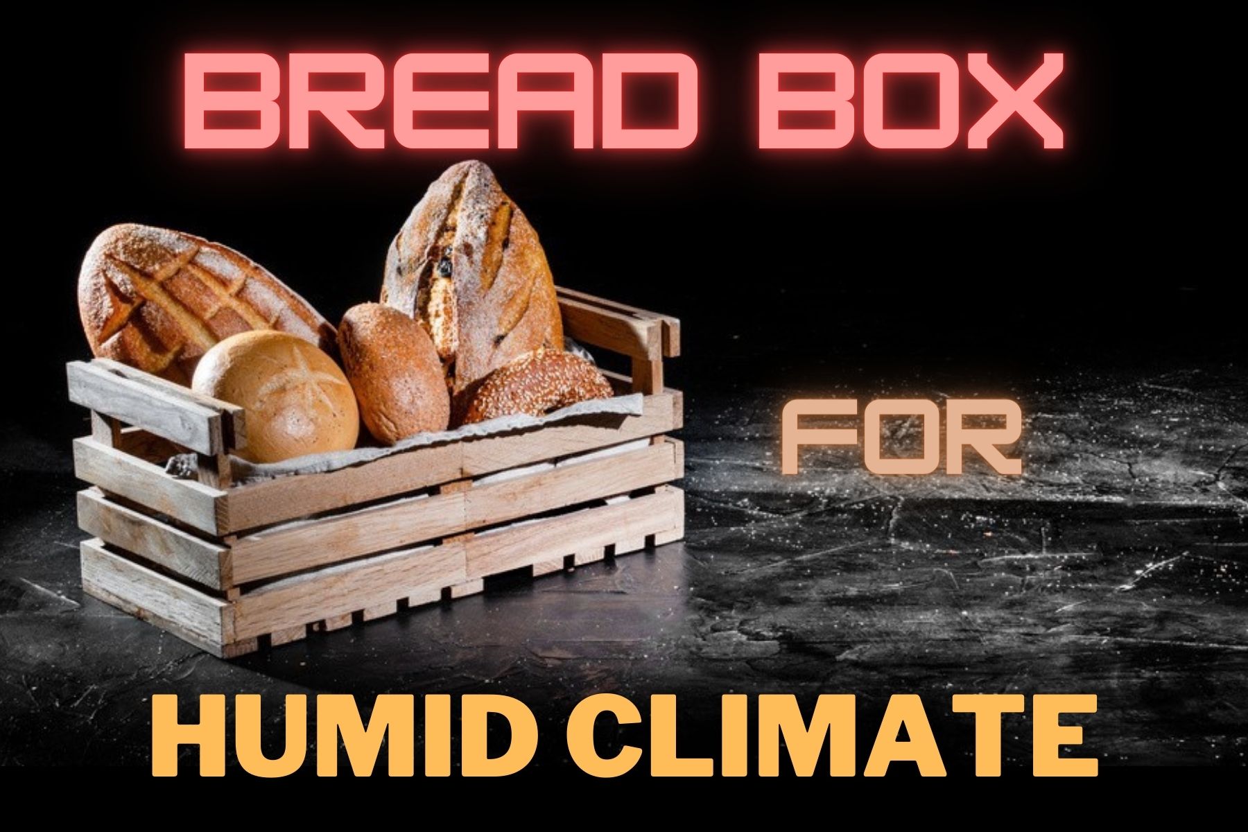 Best Bread Box For Humid Climate