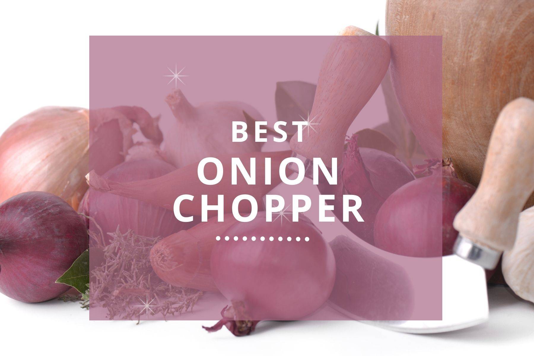 Best Onion Chopper